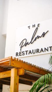 Your new favourite restaurant in Plett? You just found it. 🌴✨

Ocean views, rooftop sunsets, handcrafted cocktails and food worth lingering over — all in one space. Whether it’s breakfast on the deck, lunch with friends or dinner under the lights, The Palms is where moments turn into memories.

Come see what the hype is about.�📞 Call or WhatsApp 072 927 2304 to book your table.