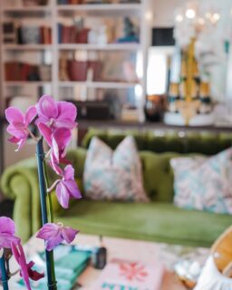 Step into the Rosè Room 💕✨
An intimate, elegant space at The Palms designed for special moments. Whether you’re planning a celebration, private dinner, birthday, bridal gathering or corporate event, the Rose Room offers the perfect setting to host something memorable.

Beautiful, private and full of charm , it’s where meaningful moments are made.
For bookings and enquiries please email reservations@thepalmsplett.com.
We’d love to help you create something special. 🌴
📞 Call or WhatsApp us on 072 927 2304 
📍 31 Main St, Plettenberg Bay, Garden Route